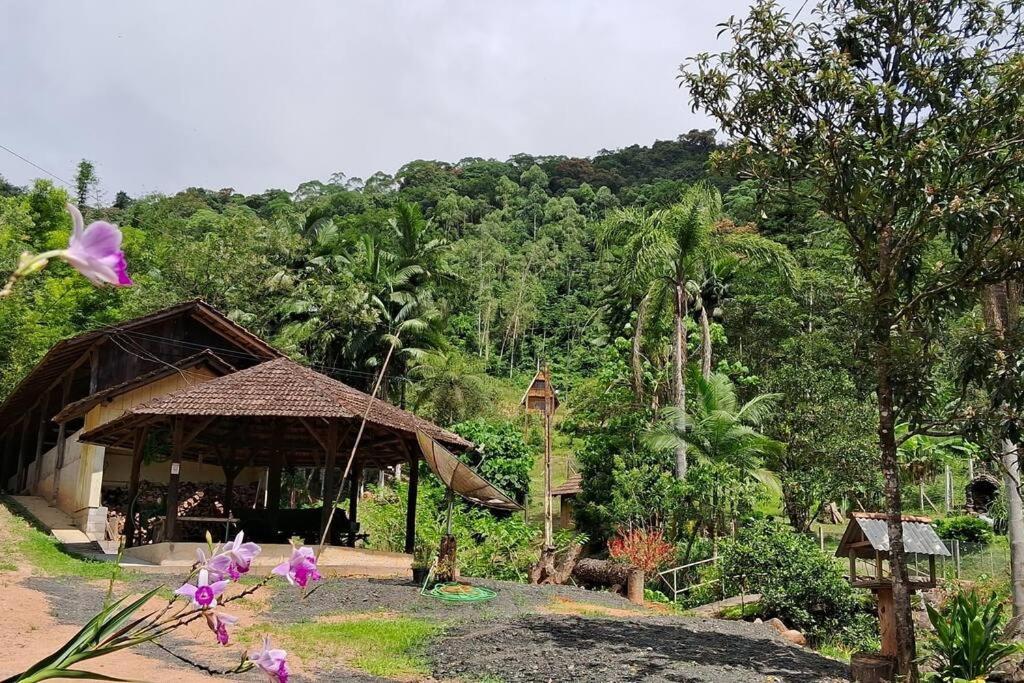 Sitio Som Das Aguas Benedito Novo Exterior foto